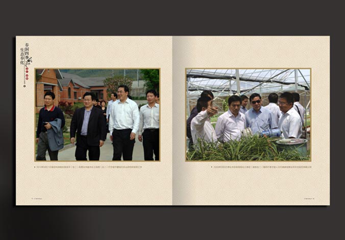 畫冊設計，標志設計，VI設計，交互設計，包裝設計，空間導示，數志視頻，廣告創意設計，博納設計