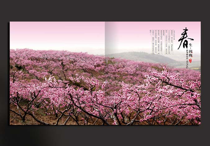 畫冊設計，標志設計，VI設計，交互設計，包裝設計，空間導示，數志視頻，廣告創意設計，博納設計