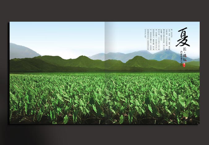 畫冊設計，標志設計，VI設計，交互設計，包裝設計，空間導示，數志視頻，廣告創意設計，博納設計