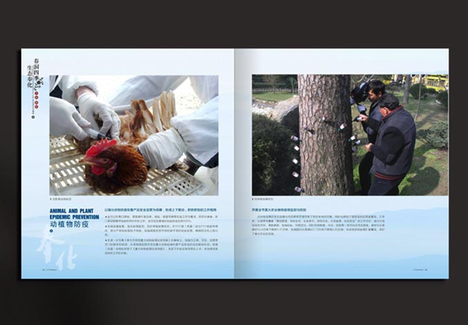 畫冊設計，標志設計，VI設計，交互設計，包裝設計，空間導示，數志視頻，廣告創意設計，博納設計