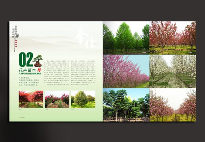 畫冊設計，標志設計，VI設計，交互設計，包裝設計，空間導示，數志視頻，廣告創意設計，博納設計