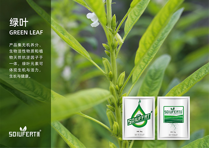 速收 包裝設計 產品包裝設計 包裝盒設計