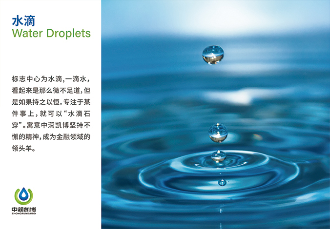 logo設計 品牌vi設計  企業vi設計   中潤凱博科技